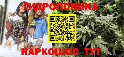 таблы Гусев