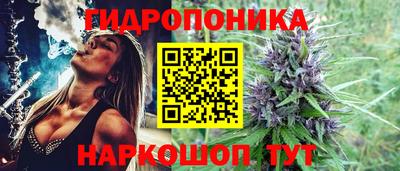 ГАЛЛЮЦИНОГЕННЫЕ ГРИБЫ Гусь-Хрустальный