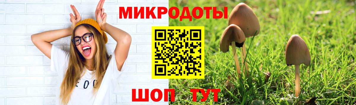 продажа наркотиков  Галлюциногенные грибы Magic Shrooms  Вход с VPN  Еманжелинск 